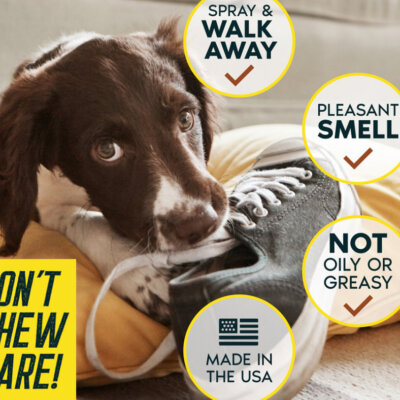 Don't Chew Dare Bubble Info Don't Chew Dare Bubble Info