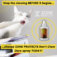 Don't Chew Dare Image - Cat