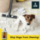 Stop Dogs from Chewing!