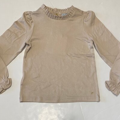 Beige Glitter Top