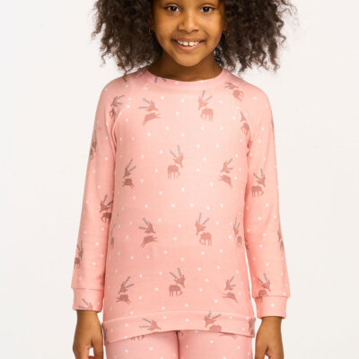 Reindeer Snow Pullover