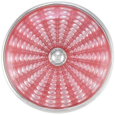 Ginger Snaps Radius - Pink