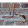 Downloaded from Shopify for use with Vendor ID (163) and Product ID (6743417159758).