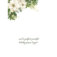 Downloaded from Shopify for use with Vendor ID (163) and Product ID (8826462142780).