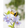 Downloaded from Shopify for use with Vendor ID (163) and Product ID (8891121598780).