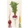 Downloaded from Shopify for use with Vendor ID (841) and Product ID (8491727552790).