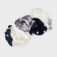 Downloaded from Shopify for use with Vendor ID (164) and Product ID (4533475442711).