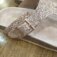 Downloaded from Shopify for use with Vendor ID (164) and Product ID (4397449838615).