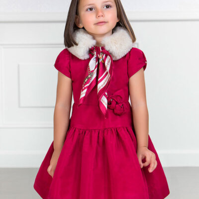 Raspberry Taffeta Dress