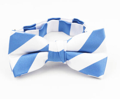 Harvard Blue and White Stripe Bow Tie