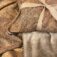 Downloaded from Shopify for use with Vendor ID (124) and Product ID (1904351215673).