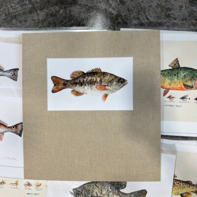 Downloaded from Shopify for use with Vendor ID (124) and Product ID (2444688949305). Downloaded from Shopify for use with Vendor ID (124) and Product ID (2444688949305).