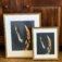 Downloaded from Shopify for use with Vendor ID (124) and Product ID (7951746367655).