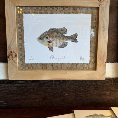 Downloaded from Shopify for use with Vendor ID (124) and Product ID (7528959115431). Downloaded from Shopify for use with Vendor ID (124) and Product ID (7528959115431).