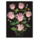 Downloaded from Shopify for use with Vendor ID (841) and Product ID (8118928900374).