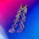 Downloaded from Shopify for use with Vendor ID (26) and Product ID (8257551139094).