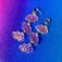 Downloaded from Shopify for use with Vendor ID (26) and Product ID (8257551139094).