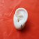 Downloaded from Shopify for use with Vendor ID (26) and Product ID (8582942818582).