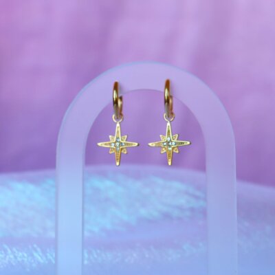 Follow Your Star-Titanium Earrings