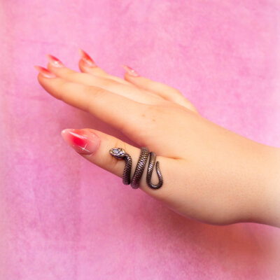 Titanium Snake Ring