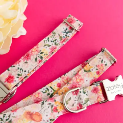 Zaley Dog Collar - Gracie
