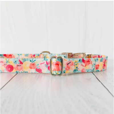 Zaley Dog Collar - Blossoms Floral