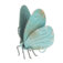 Downloaded from Shopify for use with Vendor ID (163) and Product ID (6685037264974).
