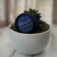 Downloaded from Shopify for use with Vendor ID (41) and Product ID (8464732061864).