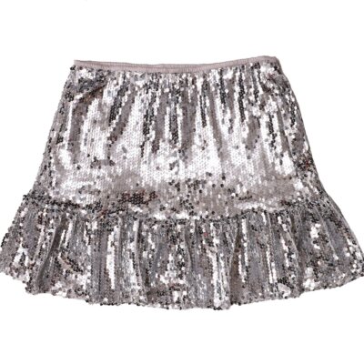 Sliver Sequin Skirt
