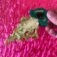 Downloaded from Shopify for use with Vendor ID (26) and Product ID (9593646809366).