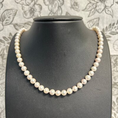 Downloaded from Shopify for use with Vendor ID (1323) and Product ID (8274025185587). Downloaded from Shopify for use with Vendor ID (1323) and Product ID (8274025185587).