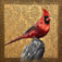 Downloaded from Shopify for use with Vendor ID (34) and Product ID (7335765082178).