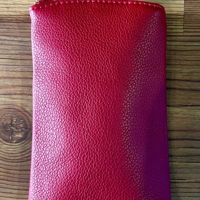 Clip on Sunglasses Case