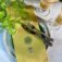 Downloaded from Shopify for use with Vendor ID (721) and Product ID (9549781401920).