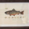 Downloaded from Shopify for use with Vendor ID (124) and Product ID (2444688949305).