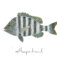 Downloaded from Shopify for use with Vendor ID (124) and Product ID (7528959115431).