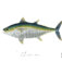 Downloaded from Shopify for use with Vendor ID (124) and Product ID (7528959115431).