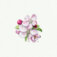 Downloaded from Shopify for use with Vendor ID (34) and Product ID (7383825547330).