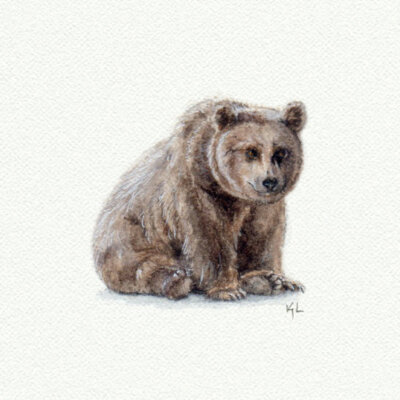 Brown Bear Miniature watercolor reproduction by Karen Libecap