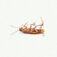 Downloaded from Shopify for use with Vendor ID (34) and Product ID (7383820009538).