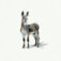 Downloaded from Shopify for use with Vendor ID (34) and Product ID (7383807000642).