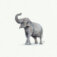 Downloaded from Shopify for use with Vendor ID (34) and Product ID (7383791239234).
