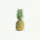 Downloaded from Shopify for use with Vendor ID (34) and Product ID (7383271473218).
