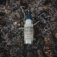 Downloaded from Shopify for use with Vendor ID (129) and Product ID (8776660713698).