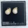 Downloaded from Shopify for use with Vendor ID (174) and Product ID (9397582627135).