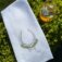 Downloaded from Shopify for use with Vendor ID (721) and Product ID (9690231767360).