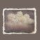 Downloaded from Shopify for use with Vendor ID (721) and Product ID (9709109674304).