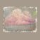 Downloaded from Shopify for use with Vendor ID (721) and Product ID (9709109674304).