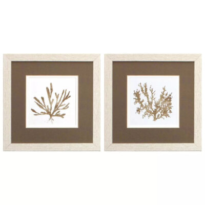 Metallic Coral Framed Art