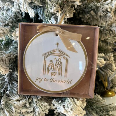 Jesus Is The Reason Ornament